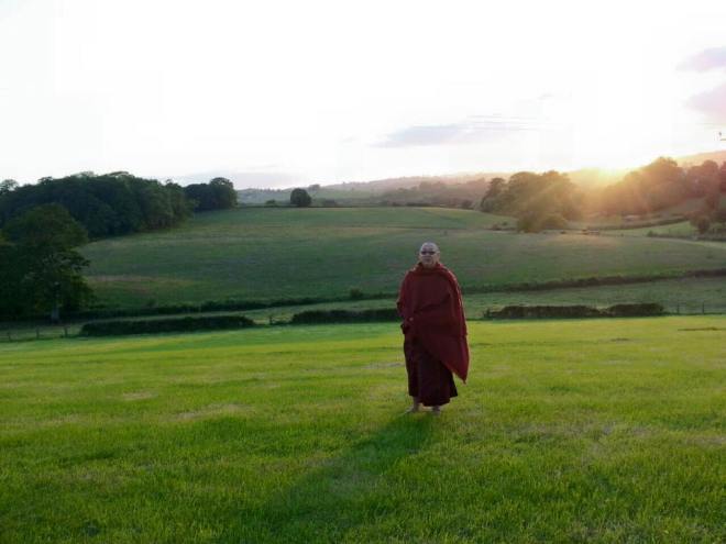 11108260_816368758432945_886573642403239317_n