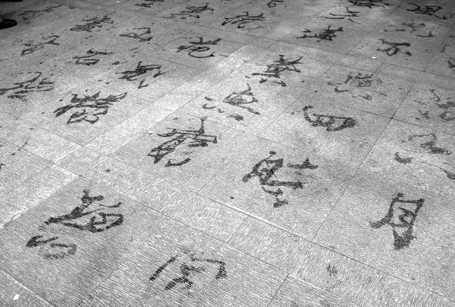 IMG_5732 - Versión 2