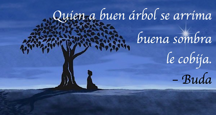 quien-a-buen-arbol-buda